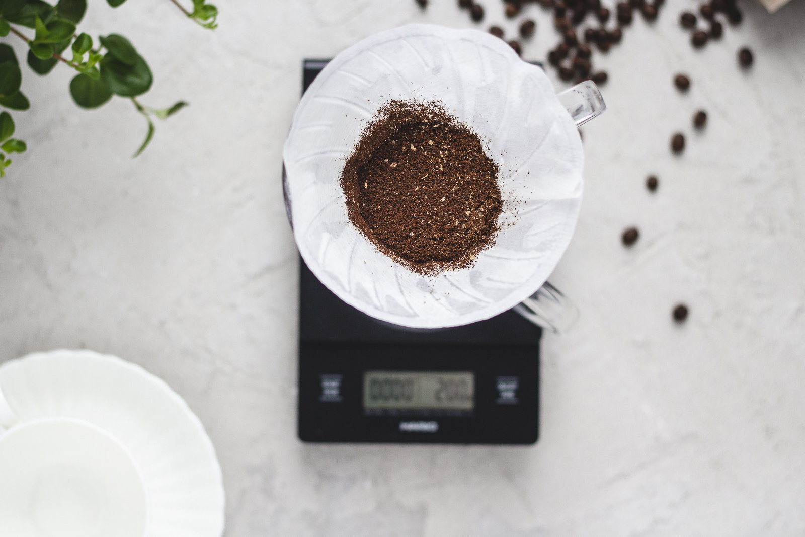 Hario Hario V60 Dripper
