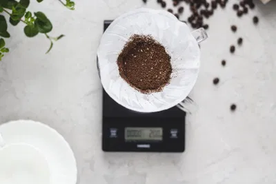 Hario Hario V60 Dripper