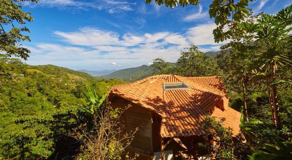 Kaffeeanbau in Kolumbien - Soul Seed Coffee - Finca Del Origin