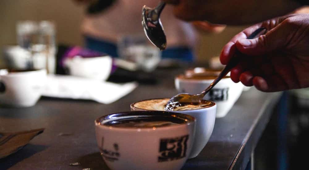 Cupping - Kaffeeverkostung - Kruste brechen