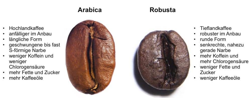 Espressobohnen - Arabica vs Robusta