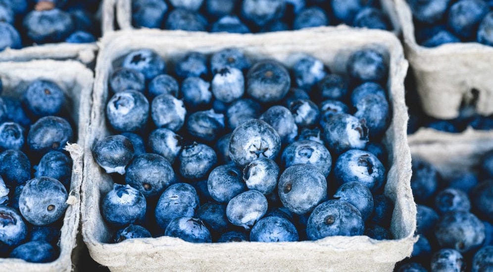 Gesunde Lebensmittel - Heidelbeeren