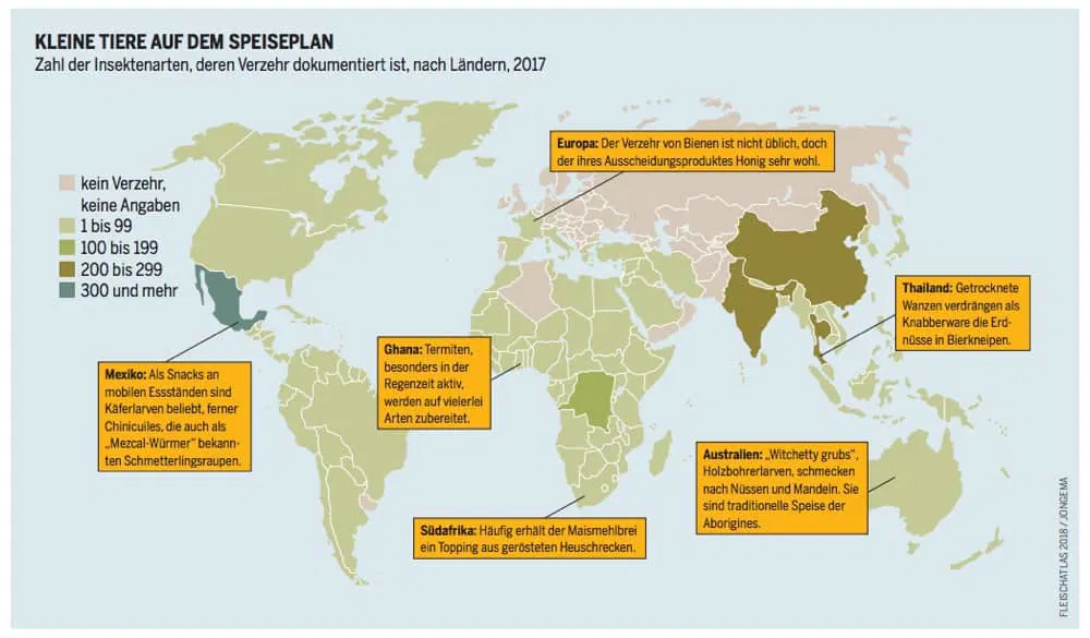 Insekten essen - kulturelle Vorlieben