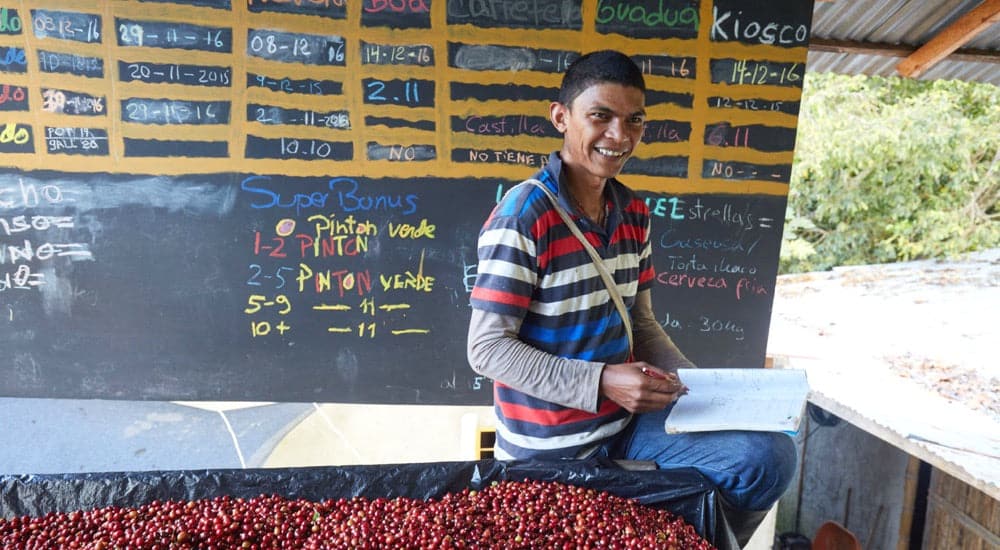 Kaffeeanbau in Kolumbien - Kaffeefarm von Soul Seed Coffee