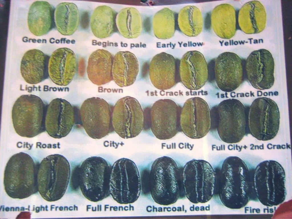 Die verschiedenen Röststufen