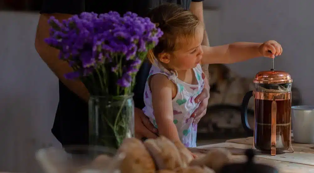 French Press: Alles, was du über die Pressstempelkanne wissen musst