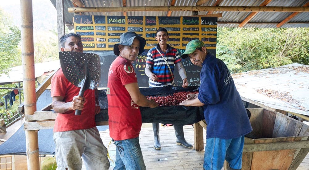 Kaffeeanbau in Kolumbien - faire Entlohnung