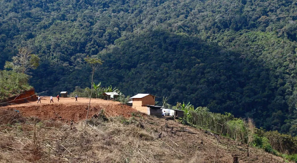 Fairer Handel- Kaffeeplantage