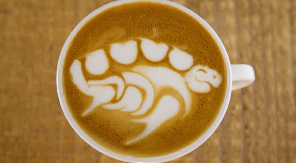 Latte Art - Schildkröte by Christian Ullrich