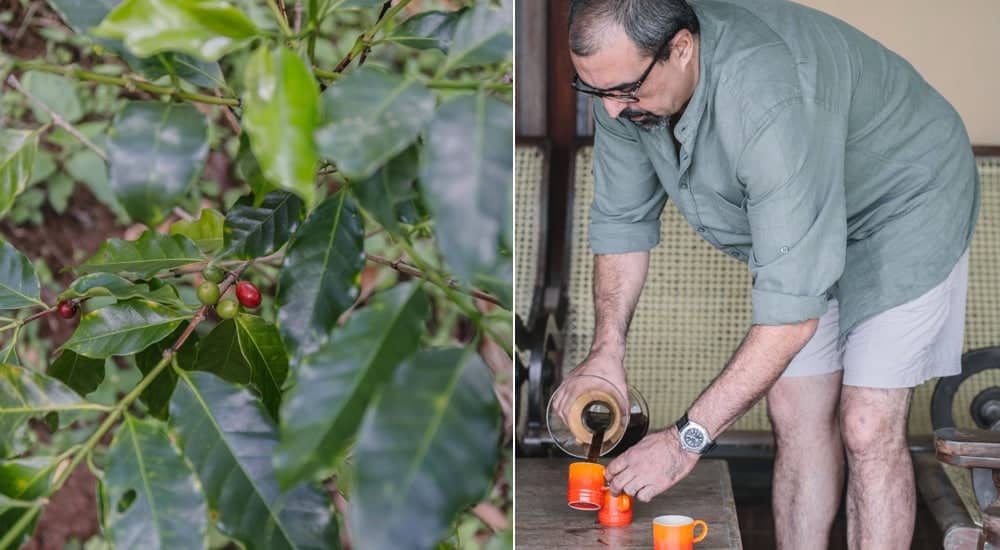 Permakultur im Kaffeeanbau - Avaagama Organic Farm Cupping