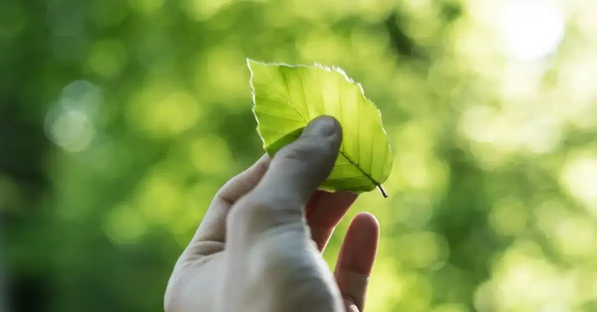 Dreieck der Nachhaltigkeit: So kann man Ökonomie, Ökologie und Soziales vereinen