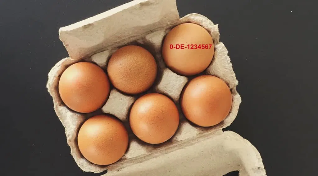 Erzeuger-Code auf Eiern
