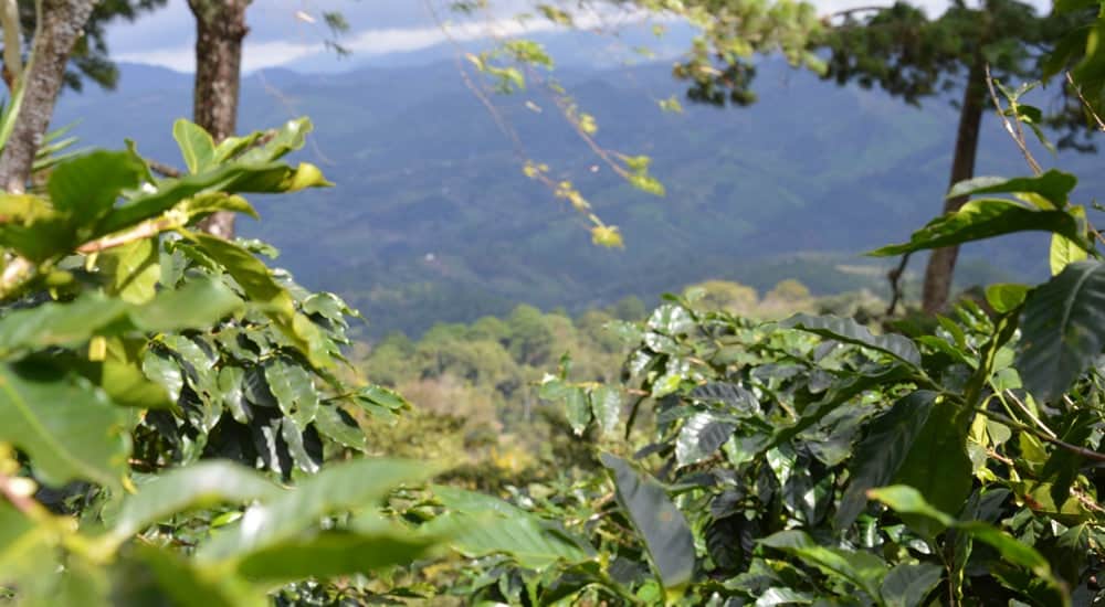 Mexiko Chiapas