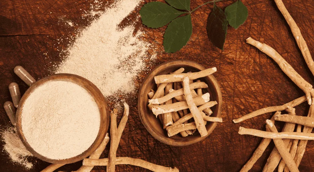 Moon Milk - Mondmilch - Ashwagandha