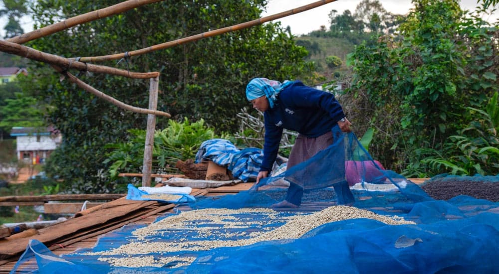 Kaffee Weltmarktpreis - Kaffeebauern
