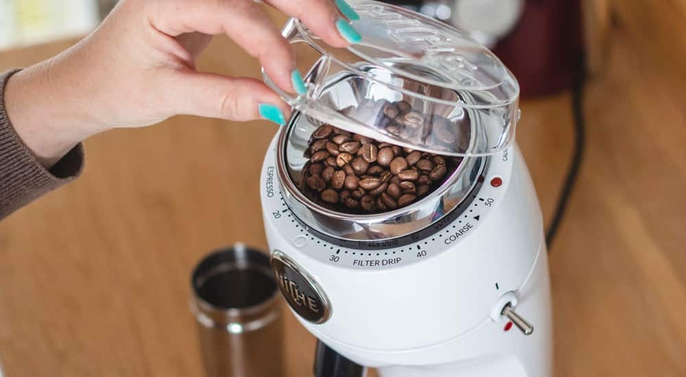 Niche Zero Coffee Grinder - Bohnenfach