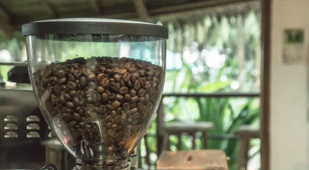 Elektrische Kaffeemühle - Bohnenbehälter