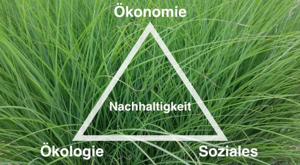 Dreieck der Nachhaltigkeit