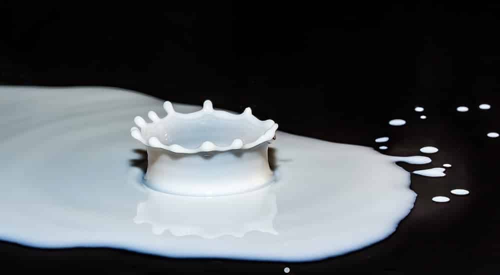 Milch gesund - Krebsrisiko