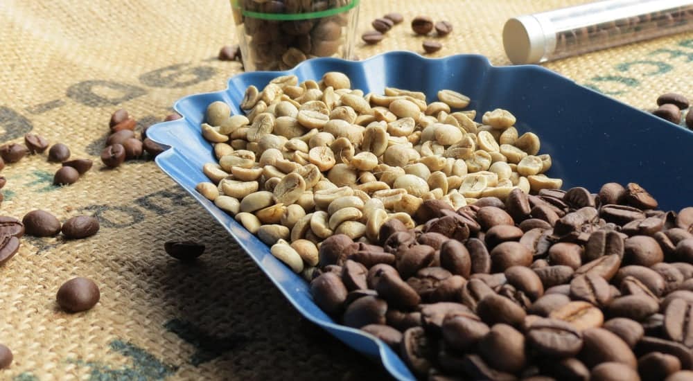 Kaffeepflanze grünen Kaffeebohnen