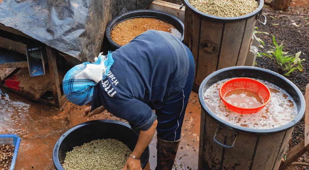 Kaffee Weltmarktpreis - Fairtrade Kritik