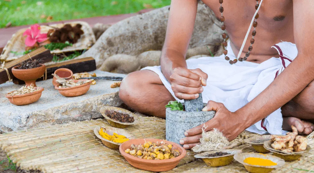 Ayurveda - Moon Milk - Gewürze