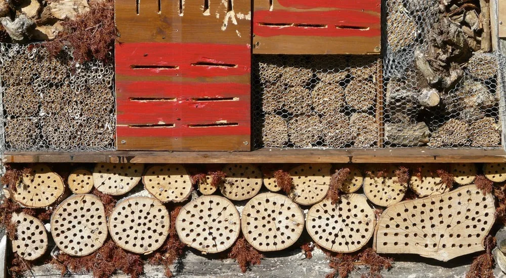 Permakultur - Insektenhotel