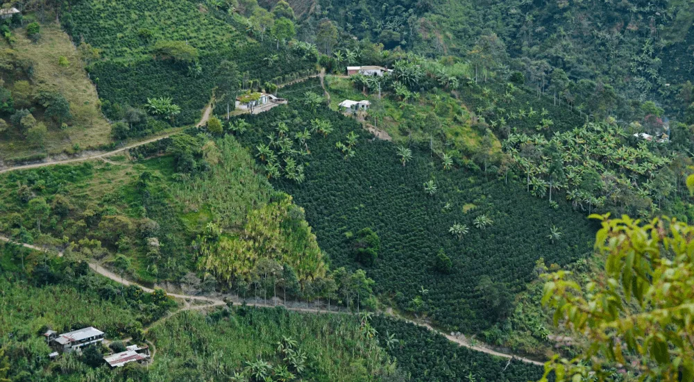 Kolumbien Kaffee - Norden