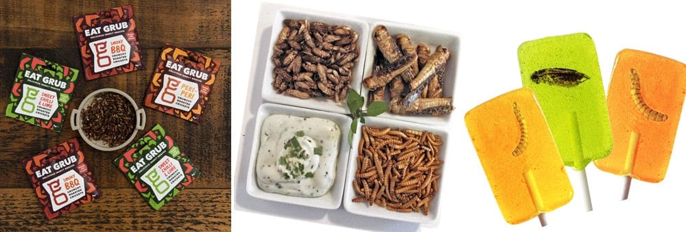 Insekten essen: Insekten Snacks