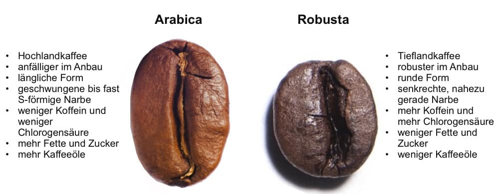 Arabica versus Robusta
