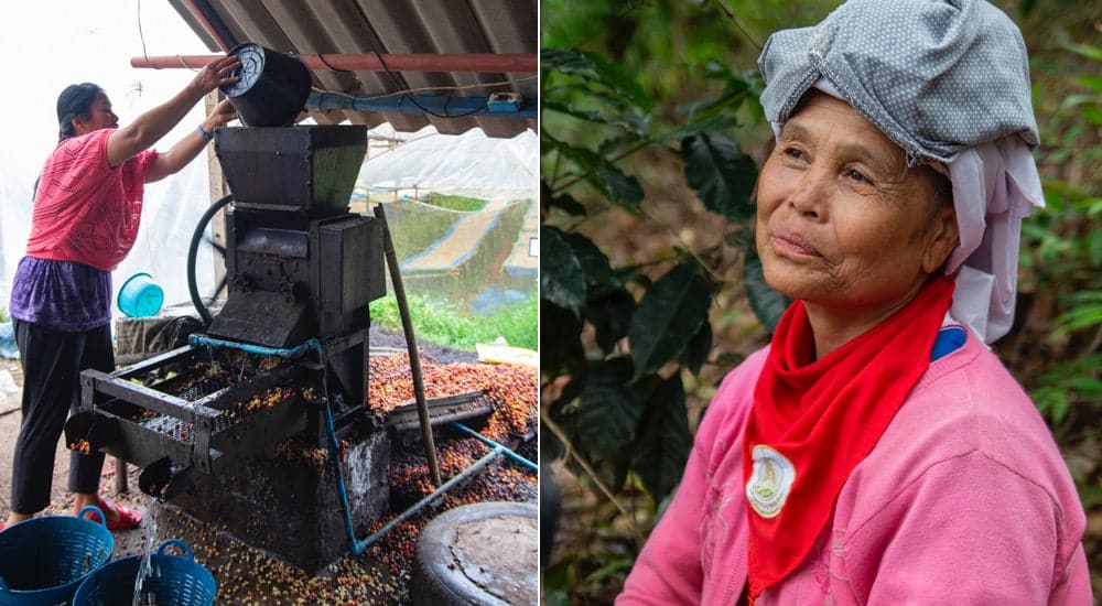 Chiang Mai Kaffee Thailand - Frauen Mystic Hilltribes