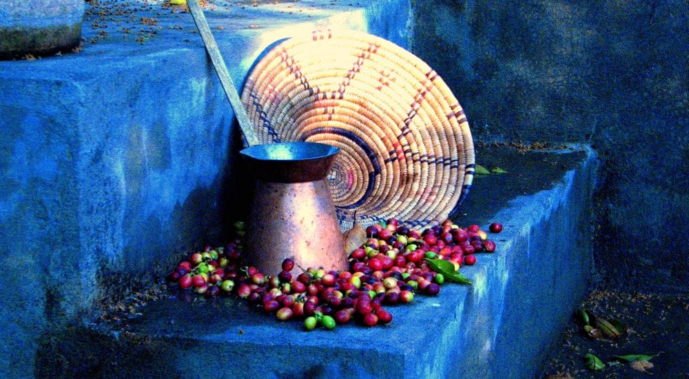 Arabica Kaffee