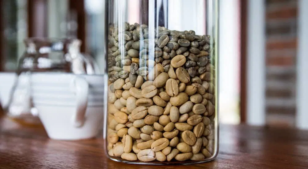 Kopi Luwak - mit und ohne Pergamenthaut