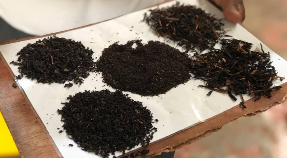 Ceylon Tee - Schwarzer Tee - Orange Pekoe Grading