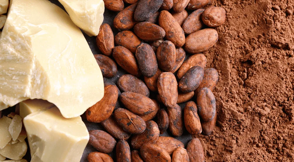 Kakao Kakaobohnen Kakaobutter