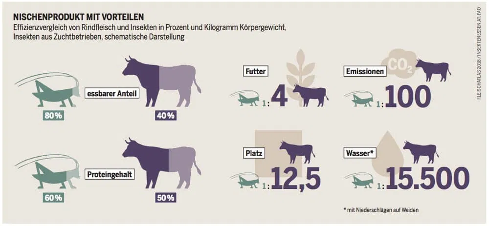 Insekten essen - Umweltverträglichkeit (Quelle: Fleischatlas)