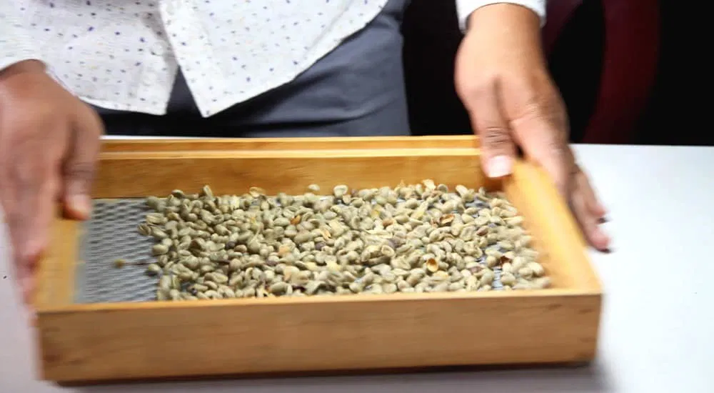 Kaffee Weltmarktpreis - Fairtrade - Qualität