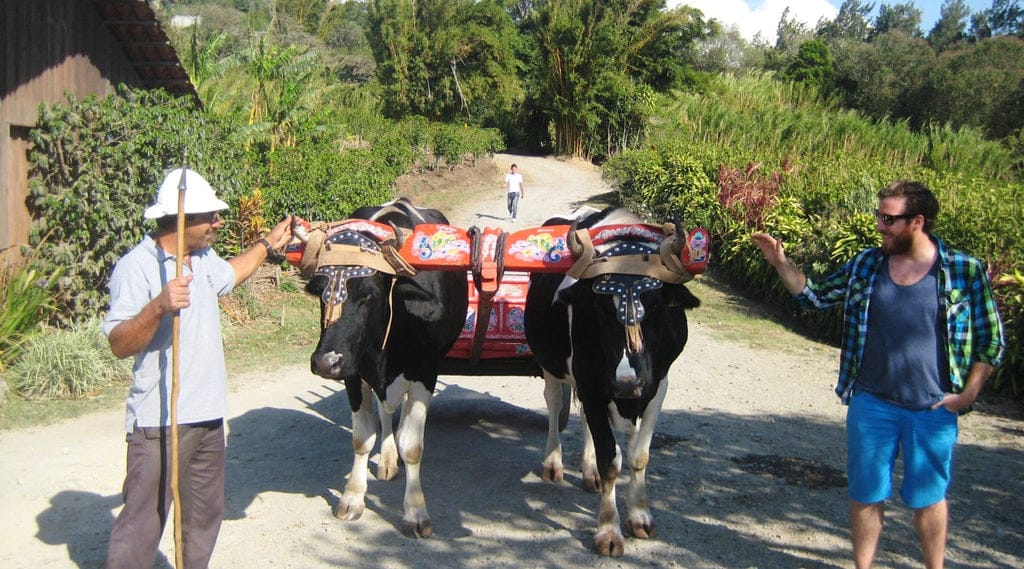 Christian von Happy Coffee in Costa Rica auf Kaffeetour
