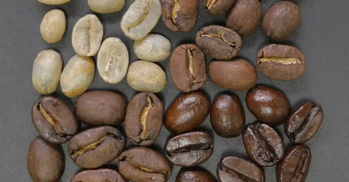 Coffee Roasts: Wie sich Kaffeeröstungen unterscheiden und schmecken