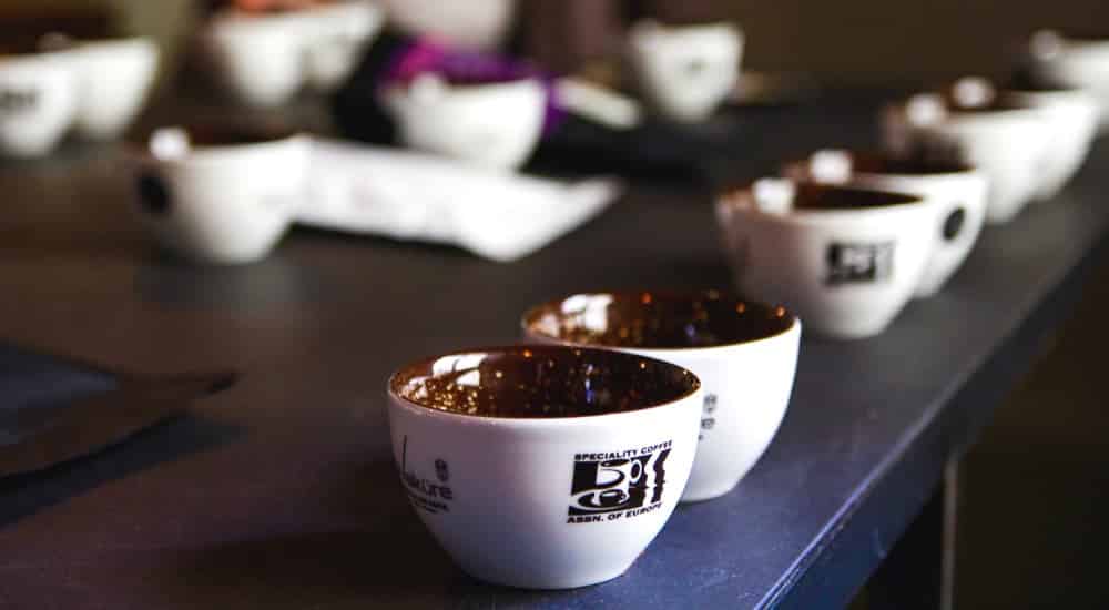 Cupping - Cups laut Specialty Coffee Association