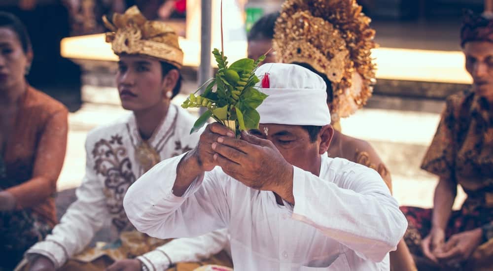 Kopi Luwak - Tradition in Indonesien