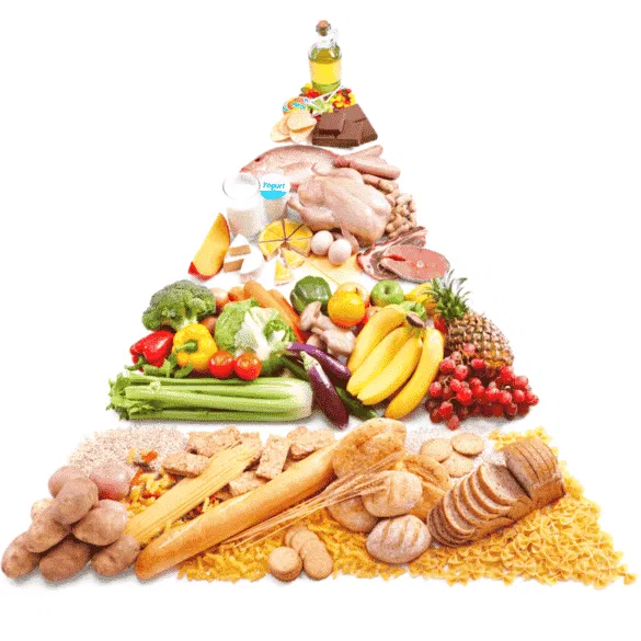 Die Ernährungspyramide