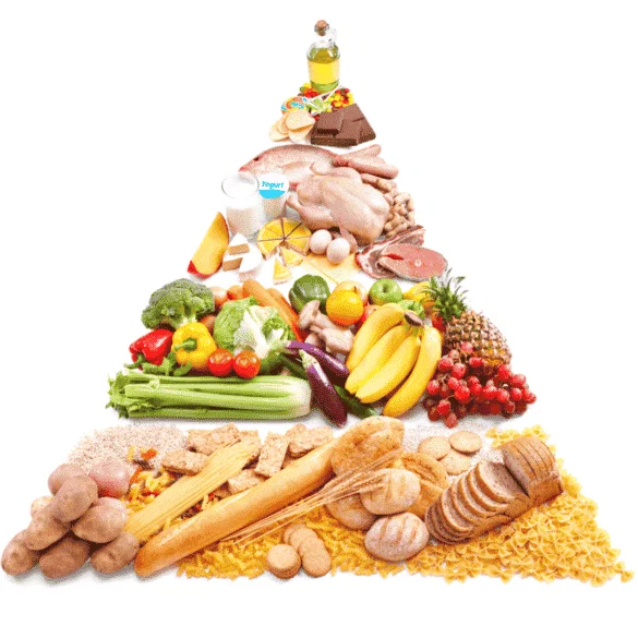 Die Ernährungspyramide