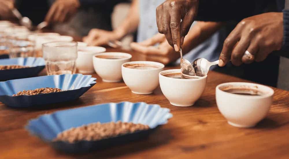 Barista beim Cupping
