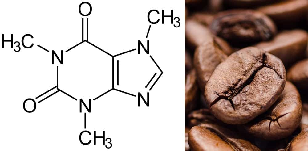 Koffein Caffeine C8H10N4O2