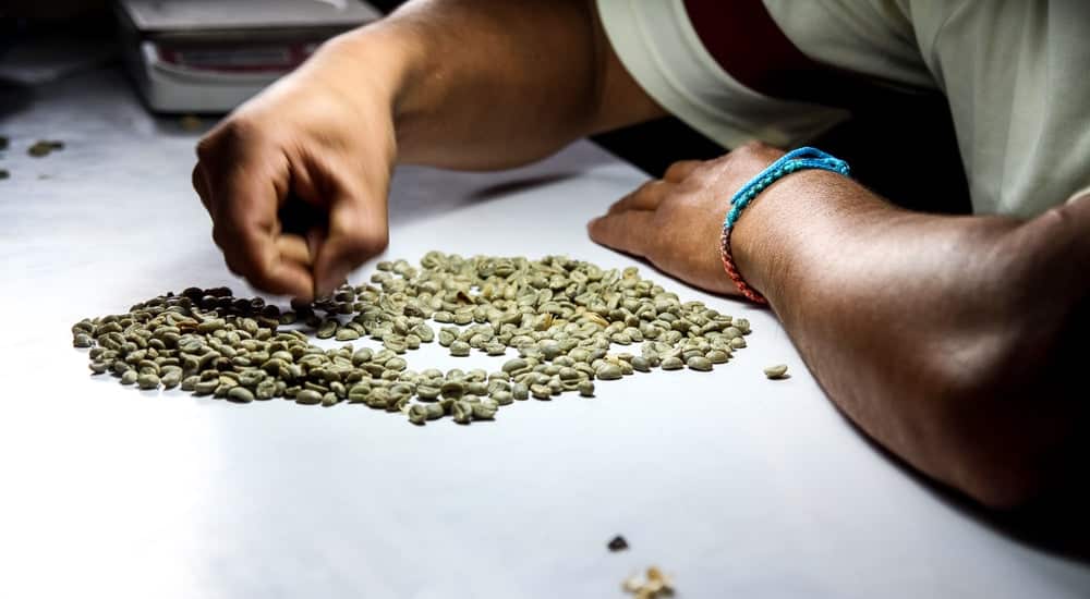 Specialty Coffee - grüne Kaffeebohnen