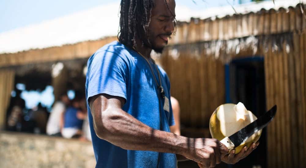 Kokosöl Kokosnuss Tropen