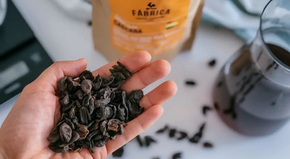 Washed Cascara - Kaffeekirschen Tee