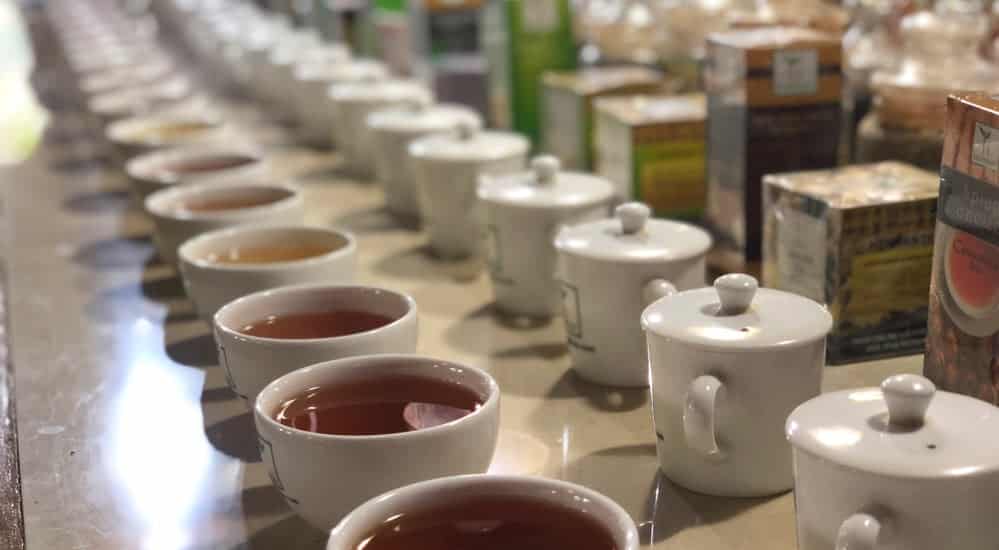 Ceylon Tee - Cupping