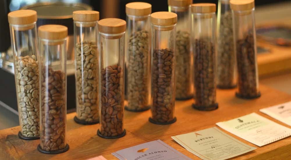 Cupping beim Röster